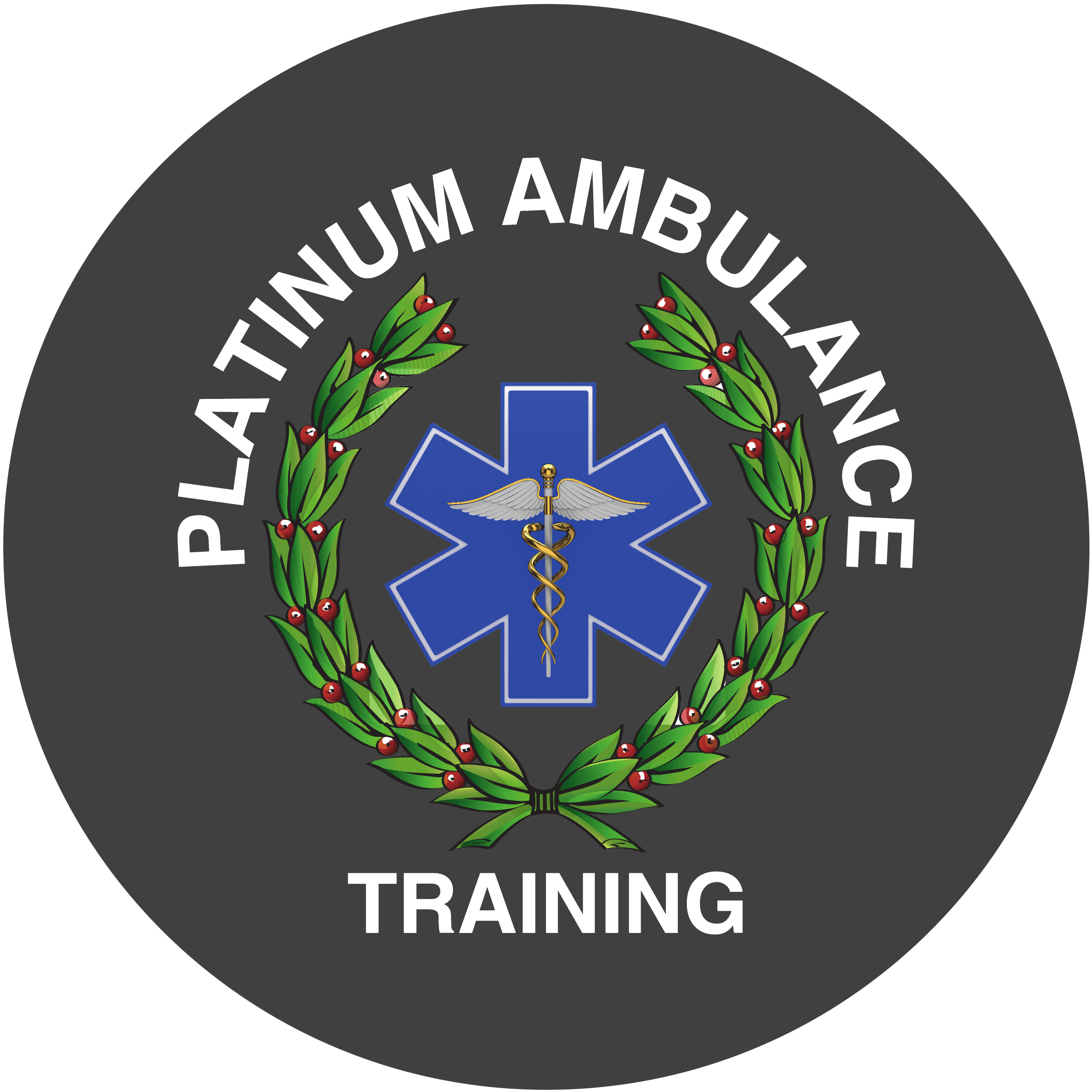 Platinum Training Academy