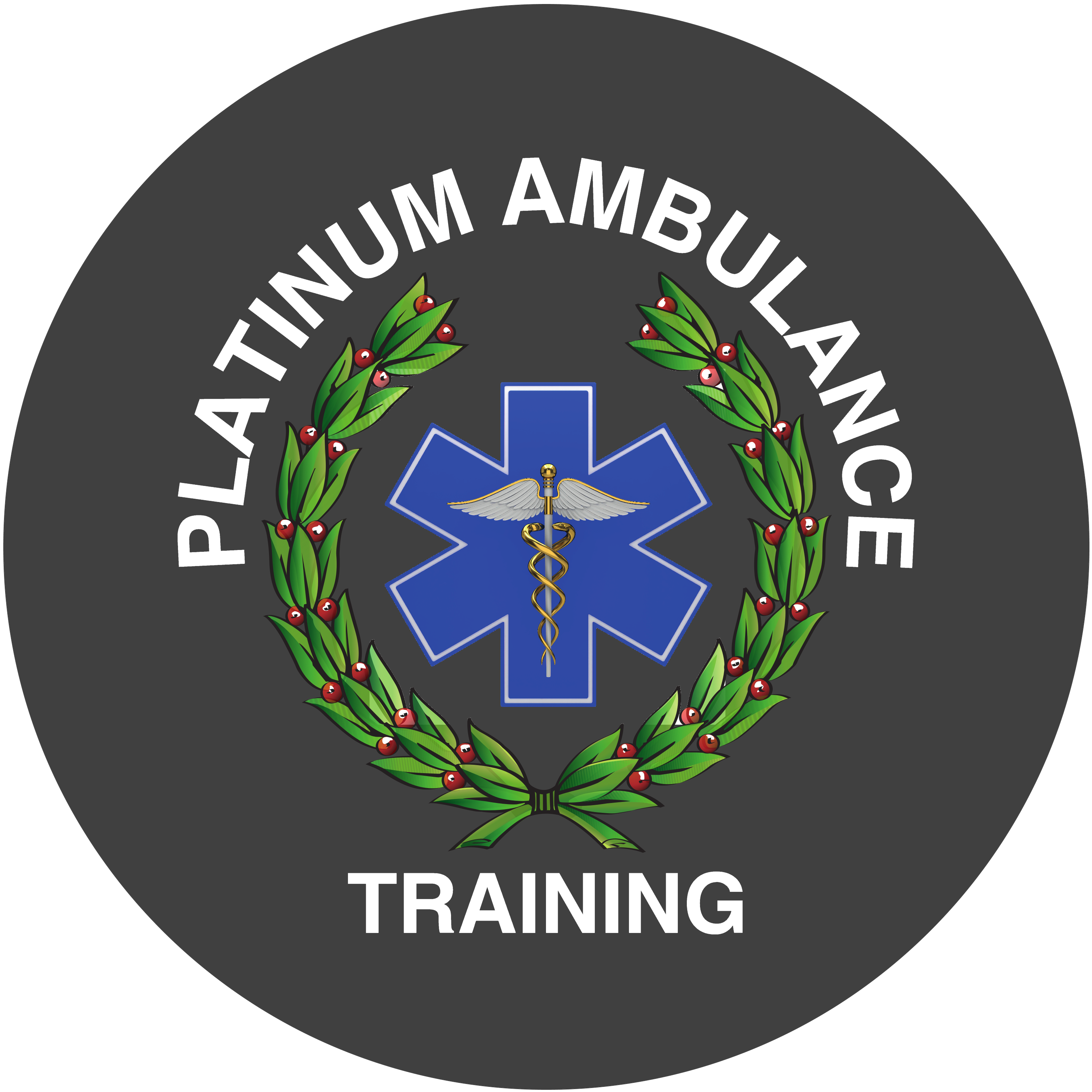 Platinum Training Academy